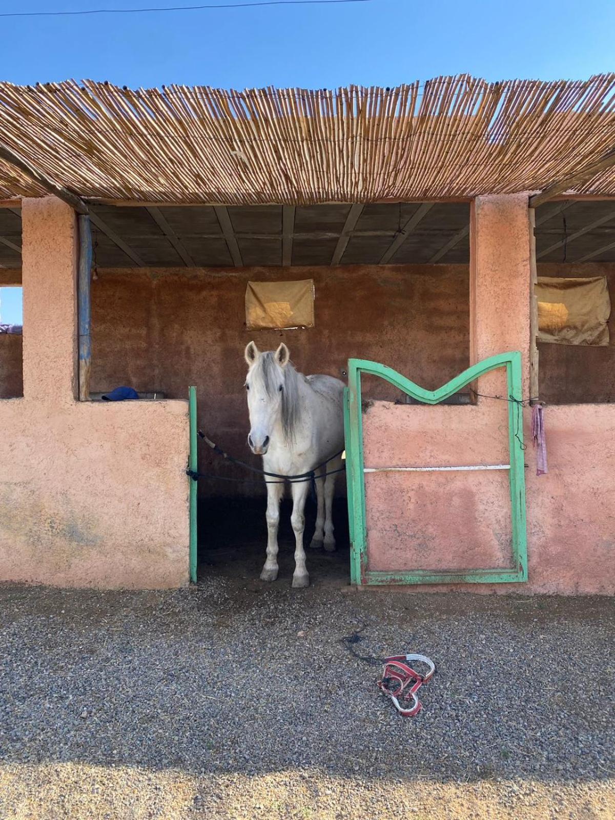 Vakantieboerderij Les Cavaliers Chez Yassine