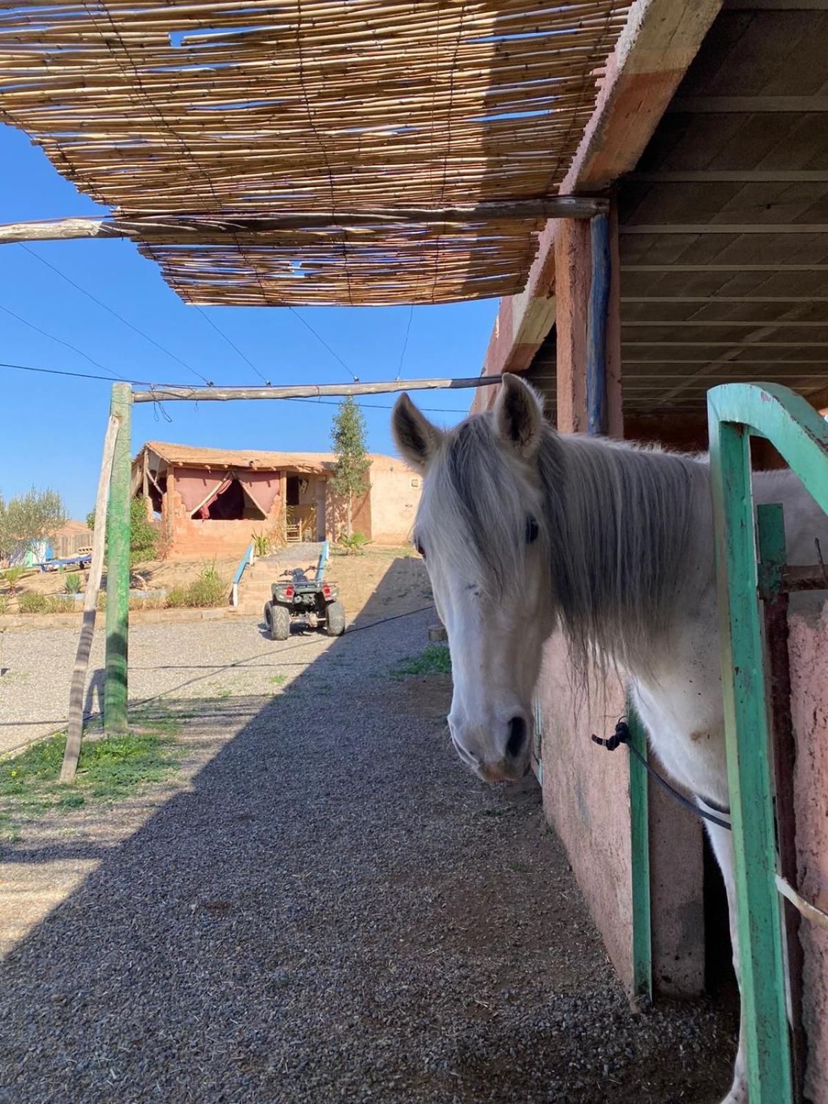 Les Cavaliers Chez Yassine Vakantieboerderij Marrakesh