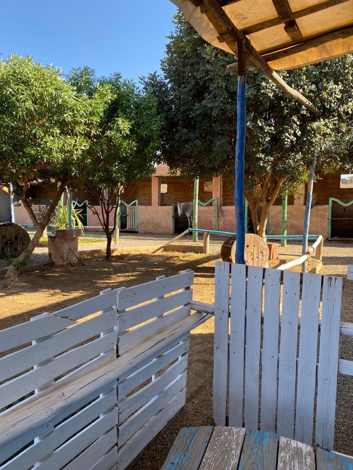Vakantieboerderij Les Cavaliers Chez Yassine Marrakesh